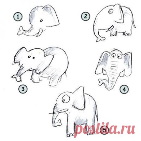 How to draw cartoon elephants step 4 | KIDS: Drawing