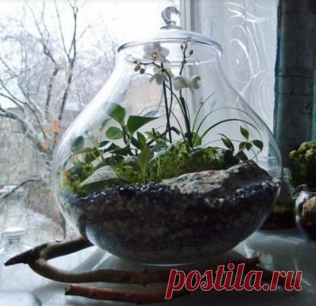 Сады в бутылках 3 (трафик) Модная одежда и дизайн интерьера своими руками