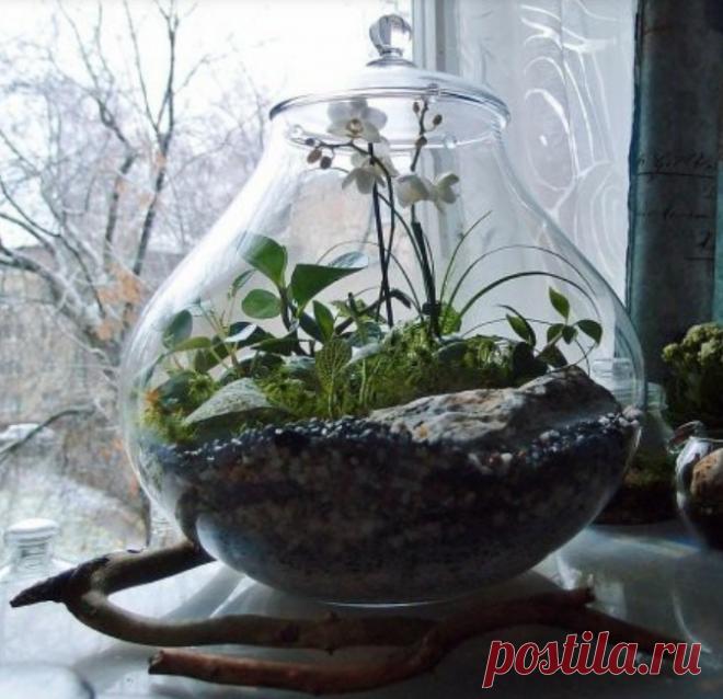 Сады в бутылках 3 (трафик) Модная одежда и дизайн интерьера своими руками