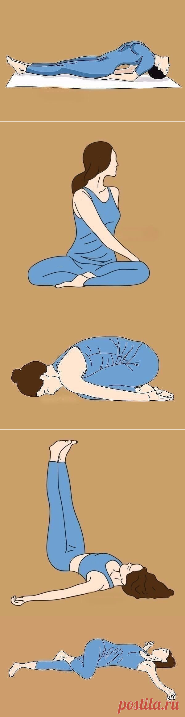 (6) Одноклассники