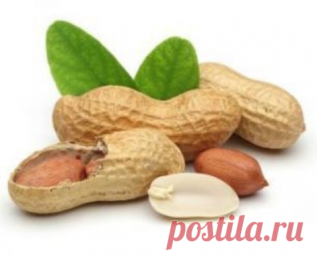 Арахис_калорийность_польза_и_вред | Рецепты народной медицины