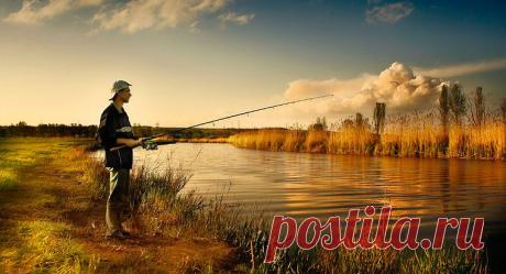 Ловля рыбы на незнакомом водоеме | Все о ловле рыбы 🎣 Рыбалке.нет