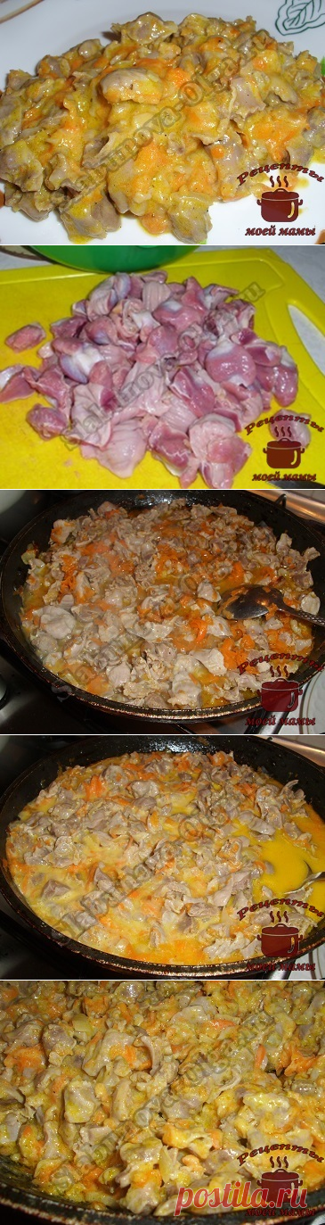 Куриные желудки в сметане. Рецепт. Фото