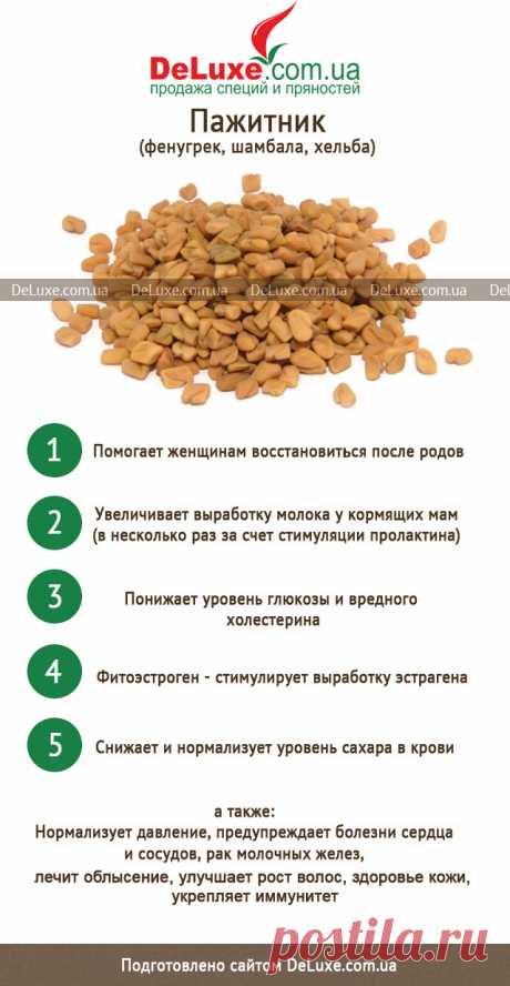 Полезные_свойства_растения_хильба Народная медицина — рецепты, советы, способы, cекреты и народные средства.