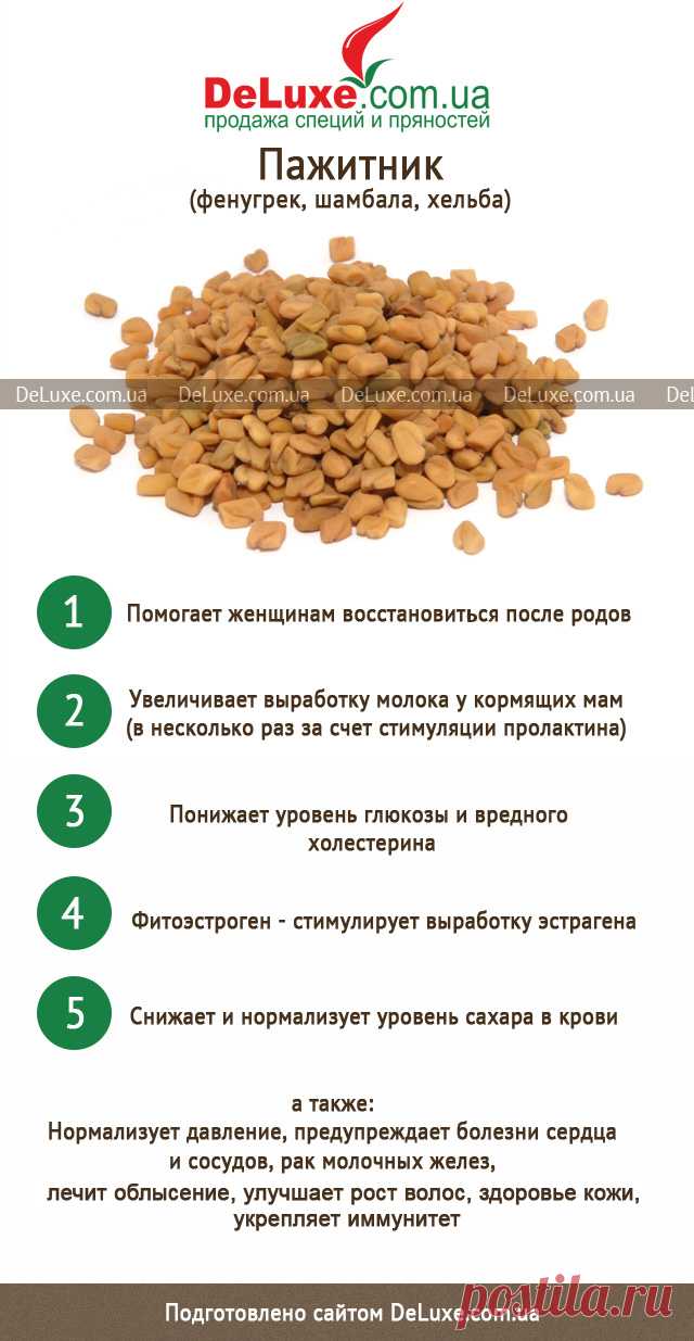Полезные_свойства_растения_хильба Народная медицина — рецепты, советы, способы, cекреты и народные средства.