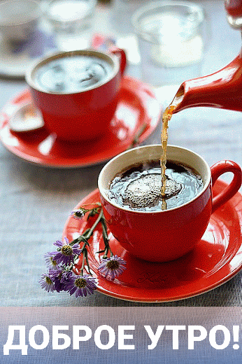 dobrogoutra-ru-10602.gif (346×521)