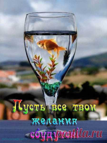 Пожелание, золотая рыбка