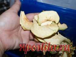 Экстремальная кулинария. Сушка » Ярополч.ру