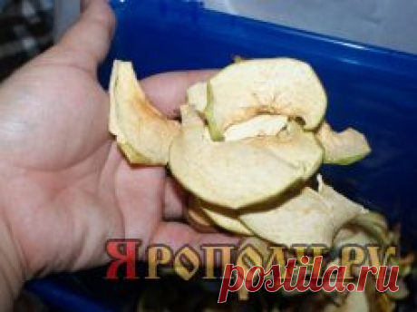 Экстремальная кулинария. Сушка » Ярополч.ру