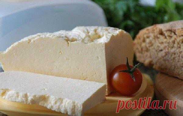 Простой, полезный и вкусный домашний сыр! 
на 100грамм - 63.95 ккалБ/Ж/У - 3.95/3.36/4.36 

Ингредиенты: 
1 л кефира 
1 л молока 
3 яйца 
3-4 ч.л. соли 

Приготовление: 
Кефир с молоком выливаем в кастрюлю, доводом до кипения, пока закипает взбиваем яйца с солью. Как только вскипел наш кефир с молоком, вливаем туда яйца с солью, так же доводим до кипения и кипятим на медленном огне минут 5-7, затем выливаем всё в дуршлаг застеленый марлей, когда всё стечет завязываем узел ...
