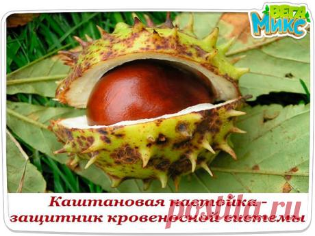 (5) Одноклассники