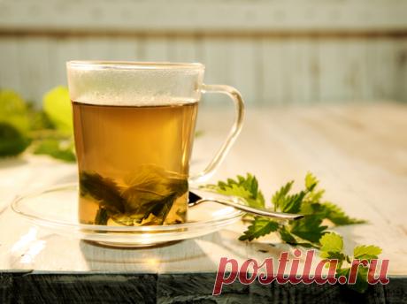 Натуральные диуретики — различные типы и меры предосторожности