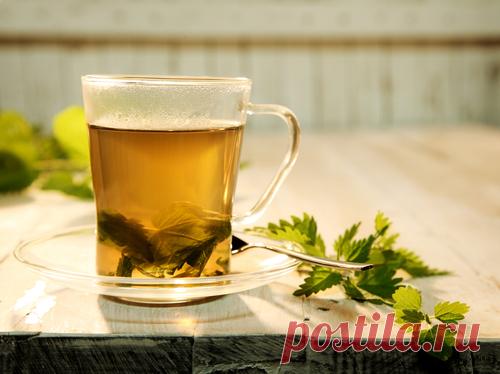 Натуральные диуретики — различные типы и меры предосторожности