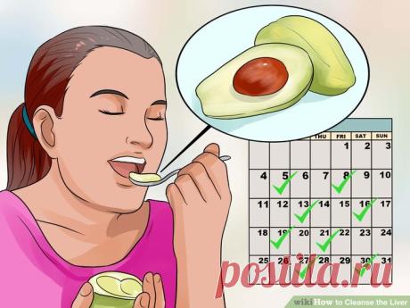 Jak oczyścić wątrobę (ze zdjęciami) - wikiHow