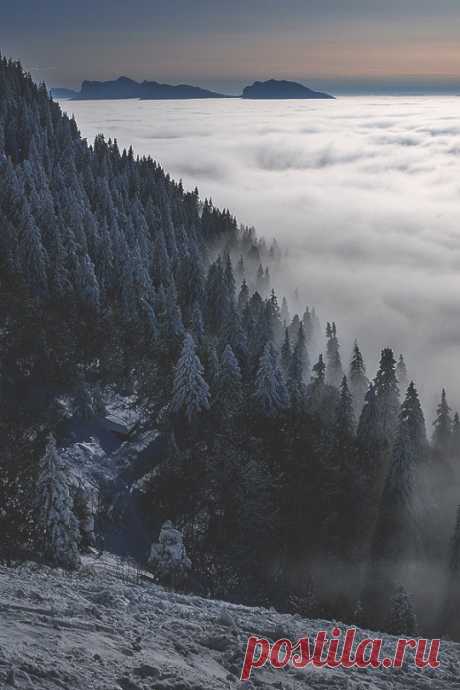 (2) Tumblr
