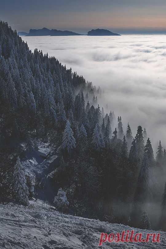 (2) Tumblr