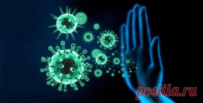 «Оставьте иммунитет в покое»: врачи прокомментировали наши главные ошибки — ХОЗЯЮШКА