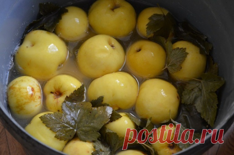 Маринованные яблоки с луком / Простые рецепты