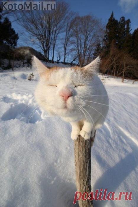 Весной пахнет...