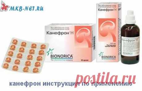 Канефрон инструкция по применению. Будьте осторожны...