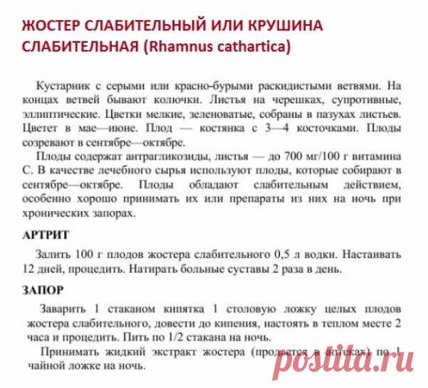 Крушина слабительная или жостер слабительный.
Травник. Золотые рецепты народной медицины. Универсальный справочник. Москва 2007.