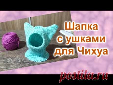 Шапка с ушками для собаки или кошки (115)/Вяжем спицами/МК