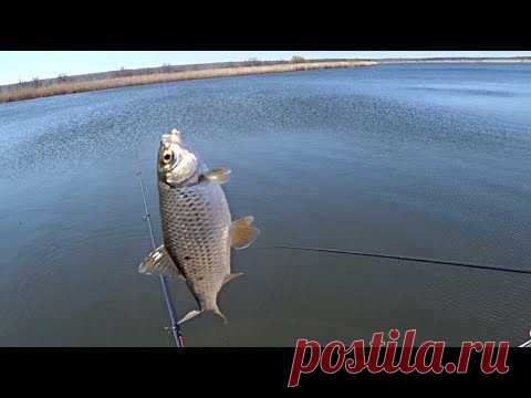 Ловля плотвы поймал отпусти | Рыбалка на поплавок | Fishing - YouTube