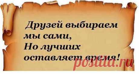 (98) Страницы