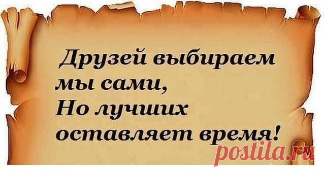 (98) Страницы