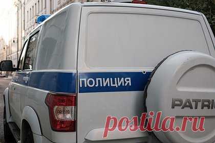 Россиянин заколол кота вилами на глазах у подростков. В Правдинском районе Калининградской области мужчина намеренно заколол вилами соседского кота. Пенсионер расправился с животным на глазах у местных подростков. По словам 65-летнего россиянина, зверь повадился душить его цыплят. В отношении мужчины возбудили уголовное дело.