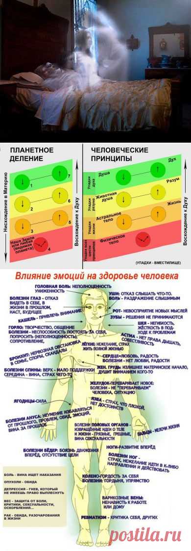 Мир наших снов - Мир через Культуру