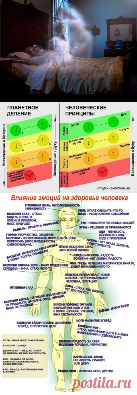 Мир наших снов - Мир через Культуру