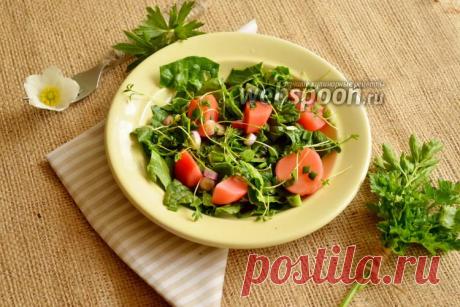 Салат с маринованной редиской и микрозеленью  Салат с микрозеленью и маринованным редисом 
Салат с маринованным редисом и микрозеленью — рецепт способа подачи маринованного редиса, он имеет интересный специфический вкус, но, как самостоятельное блюдо, весьма скучный. Поэтому я решила дополнить его зеленью, которая очень нужна организму для хорошего пищеварения и общего самочувствия.  
Надеюсь, что вам понравится моя маленькая кулинарная импровизация.