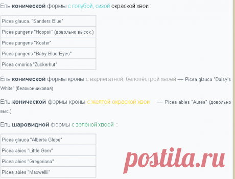 Хвойные для альпийской горки