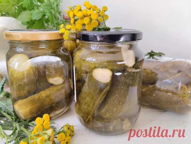 Маринованные огурцы. Маринованные огурцыОгурцы залить холодной водой на 1 час. Тщательно вымыть, обрезать кончики.Банки тщательно вымыть, простерилизовать (я стерилизую в духовке при температуре 110 градусов в течение 15 минут). Крышки простерилизовать в кипящей воде.Зелень, лавровый лист промыть, чеснок очистить, разделить на дольки и промыть.На дно банок (я делала в 0,7- 0,8 л-1 л. банках) выложить по 2 зубчика чеснока, по 3-4 горошины черного перца, по 2 горошины душистого перца и гвоздики,…
