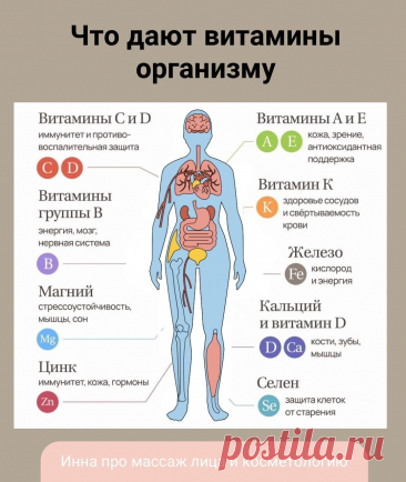 Зачем нам витамины?

Если состояние не очень, нужно сдать анализы. Возможно в организме нехватка каких-то витаминов.