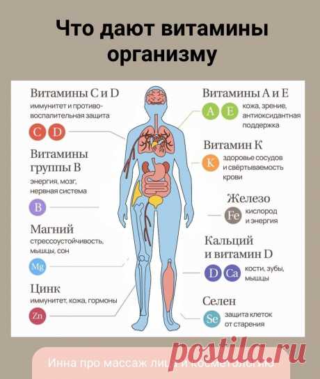 Зачем нам витамины?

Если состояние не очень, нужно сдать анализы. Возможно в организме нехватка каких-то витаминов.