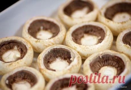 Шампиньоны с курицей и сыром » В сети – себя просвети!