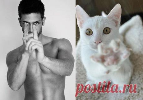 Мужчины и котики : НОВОСТИ В ФОТОГРАФИЯХ