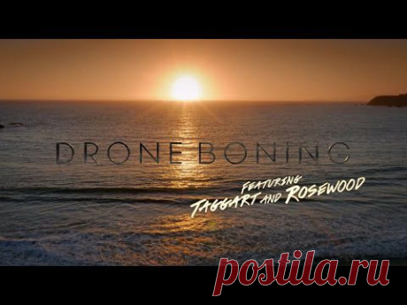 DRONE BONING (OFFICIAL) // FEATURING TAGGART AND ROSEWOOD // NSFW