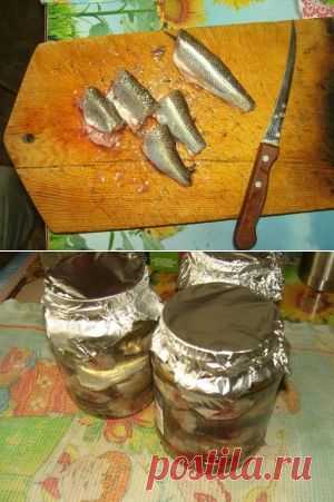 Консервы из речной рыбы в масле и томате. С фотографиями.  Готовим дома. | Путешествие по Карелии