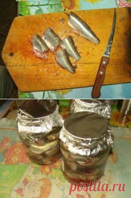 Консервы из речной рыбы в масле и томате. С фотографиями.  Готовим дома. | Путешествие по Карелии