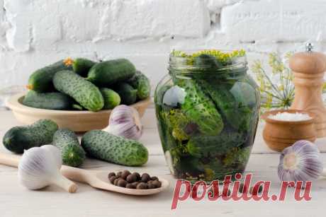 Делимся лучшими рецептами маринадов для огурцов