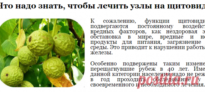Что надо знать, чтобы лечить узлы на щитовидке