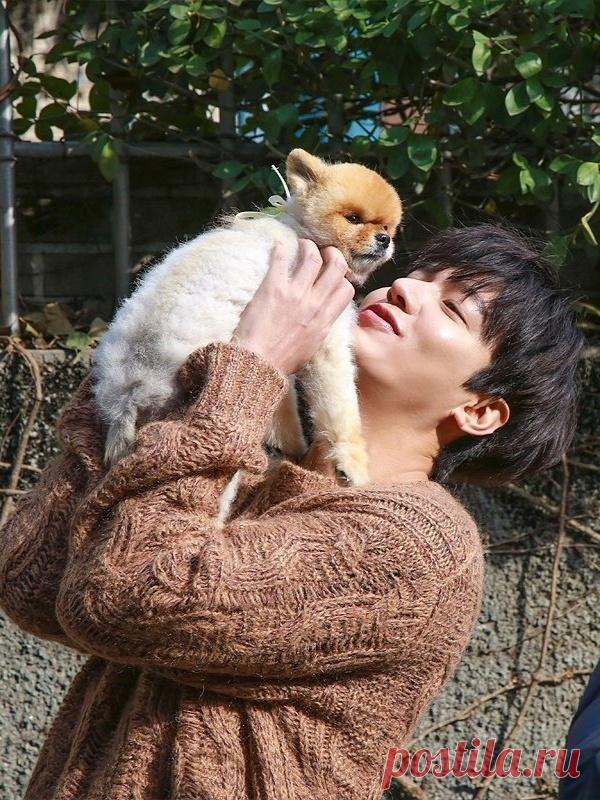 Каких животных напоминают корейские актеры-мужчины? | Максим Котов | Дзен