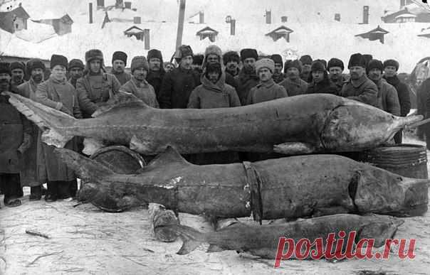 Мгновения прошлого