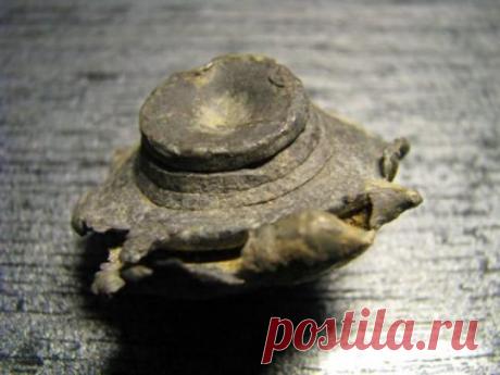 Встретились две дуры (4 фото) | Страна Полезных Советов