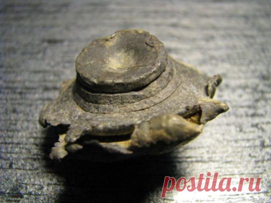 Встретились две дуры (4 фото) | Страна Полезных Советов