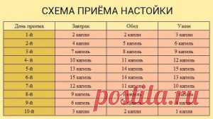 Тибетский рецепт омоложения организма (атеросклероз, заболевания сердца