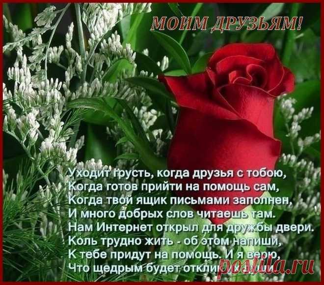 0_b6a56_eda042b7_XL (800×702)